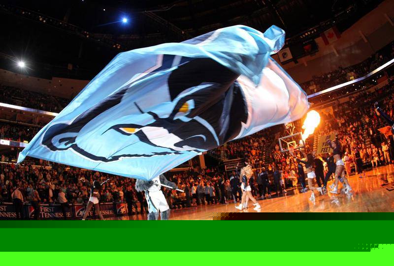 包Mylar入壳一体机